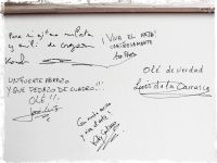Cie Flamenco Vivo / Luis de la Carrasca